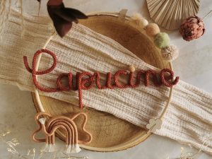 Couronne prénom en tricotin et son animal en macramé