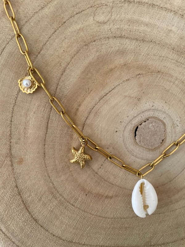Collier coquillage et breloques dorées – Image 4