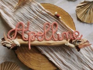 Prénoms tricotin sur bois flotté avec option fleurs séchées