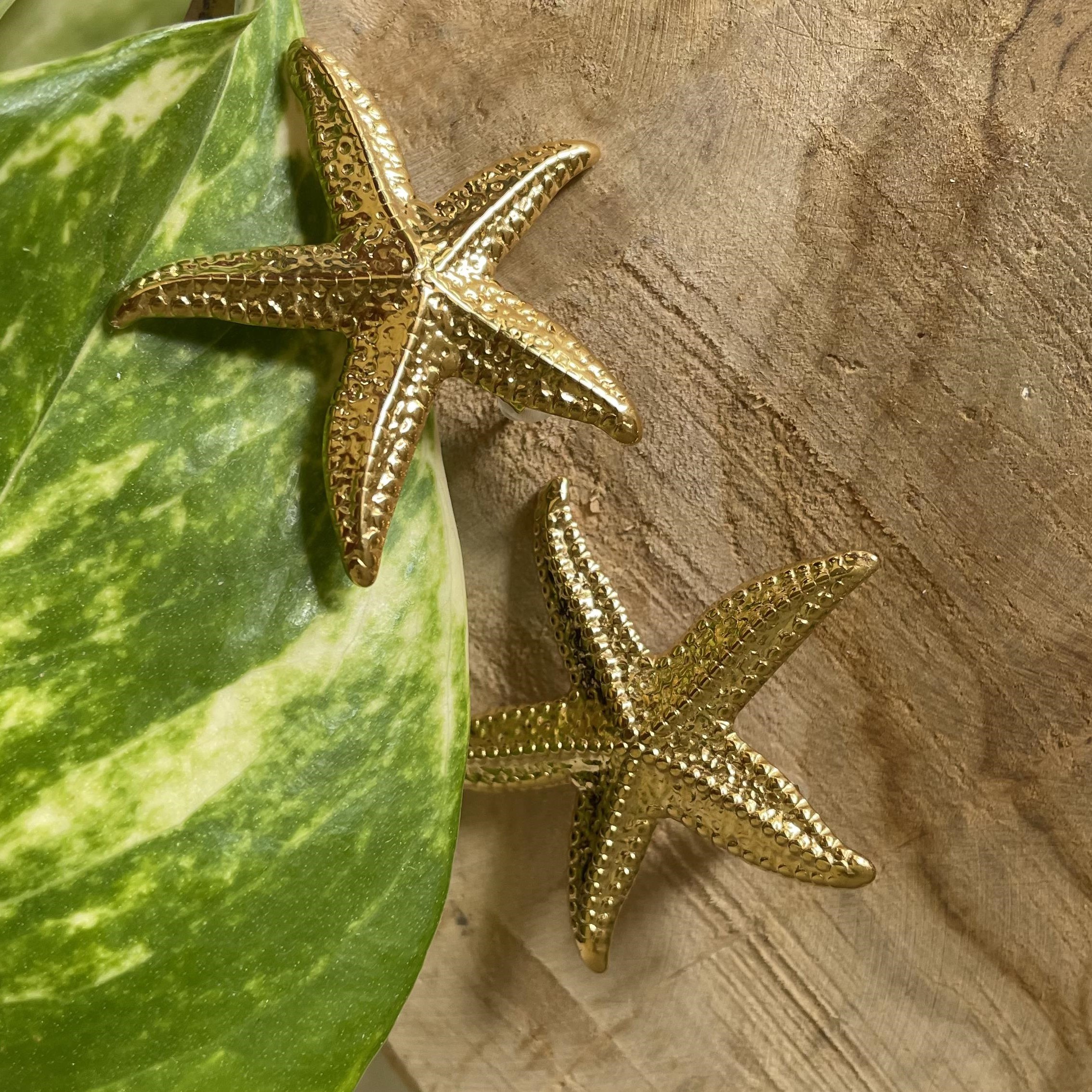 Boucles d'oreilles étoile de mer en acier inoxydable – Image 4