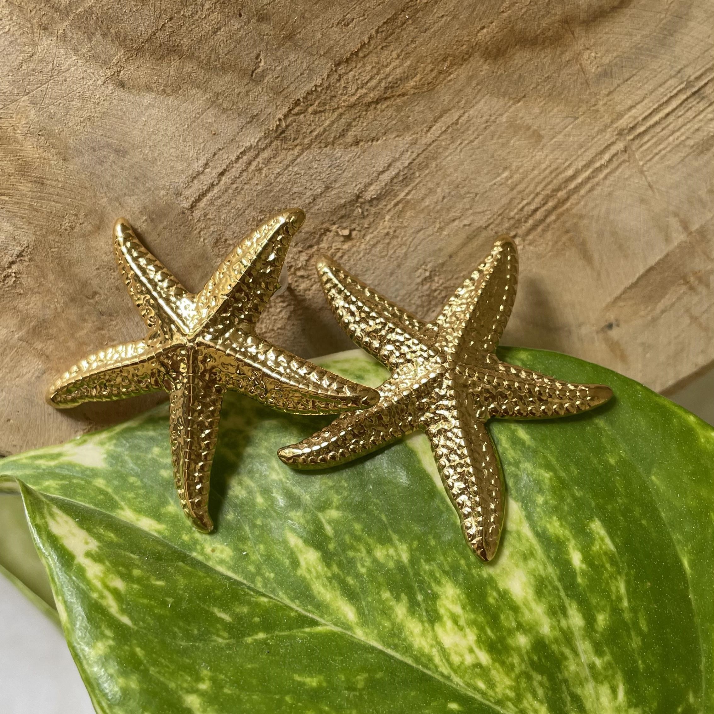 Boucles d'oreilles étoile de mer en acier inoxydable