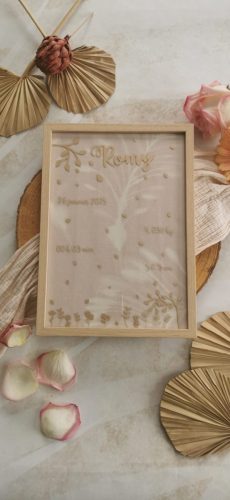 IMG_20250226_084717-scaled